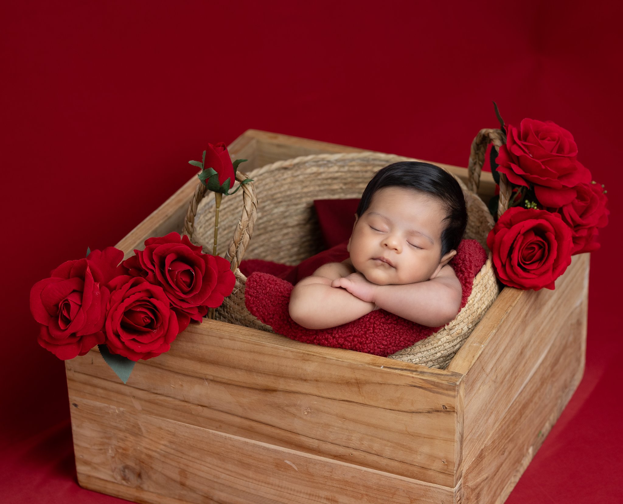 Studio Mimico photography