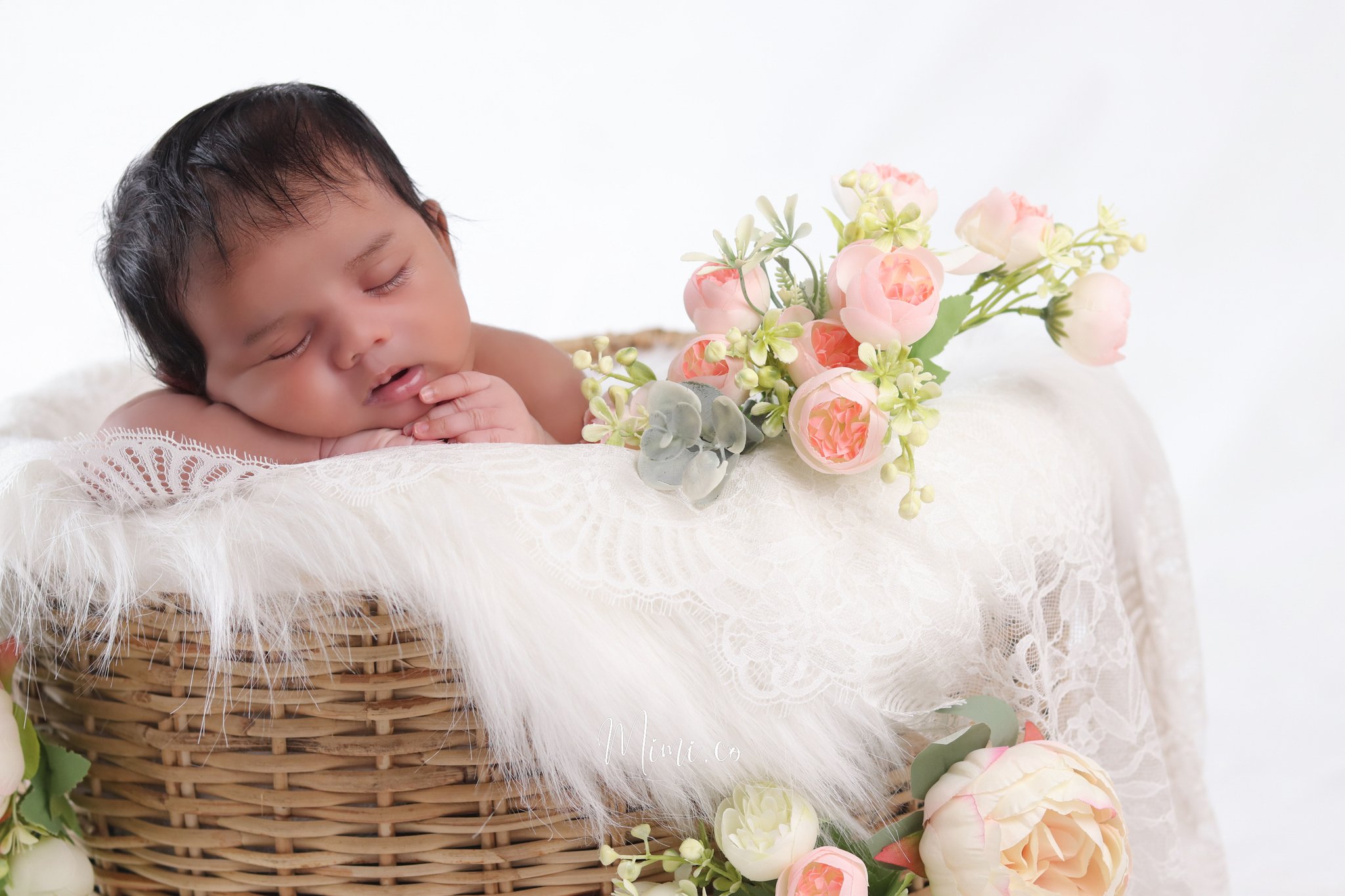 Studio Mimico photography