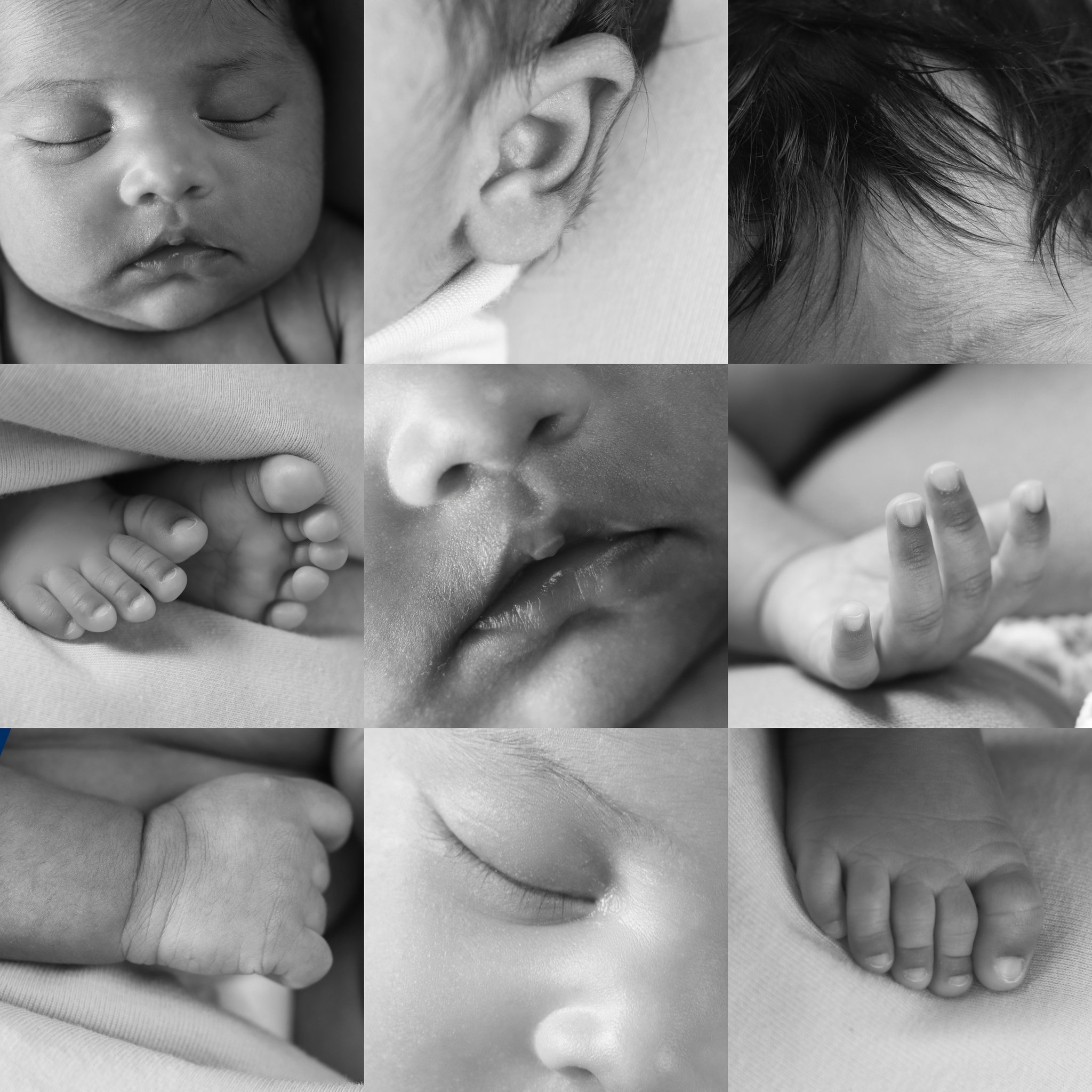 Studio Mimico photography